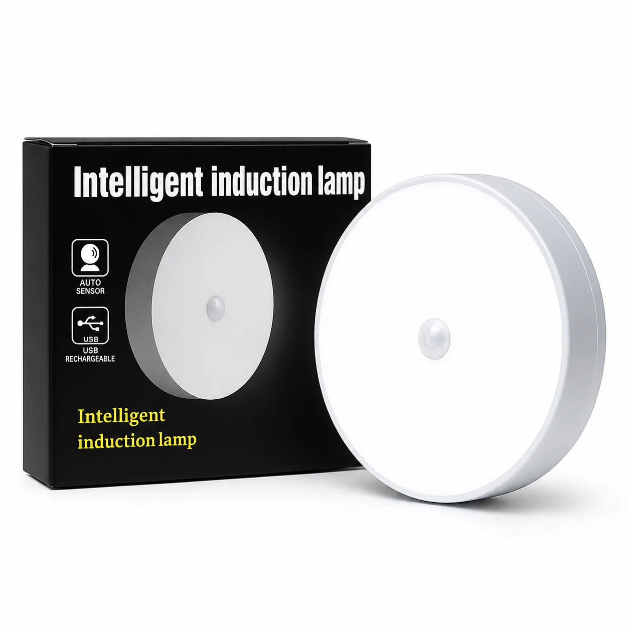 Motion Sensor Light